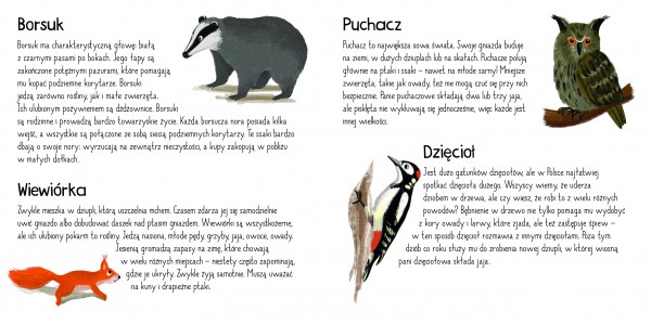 Puzzle Kakadu w lesie ksiazeczka rozkladowka